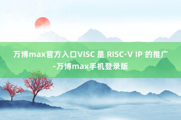 万博max官方入口VISC 是 RISC-V IP 的推广-万博max手机登录版