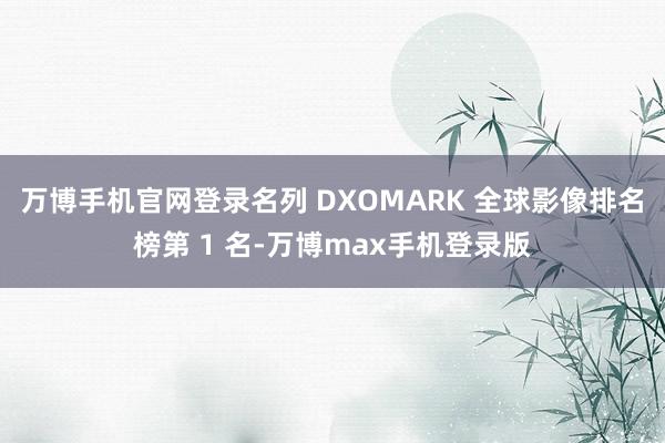 万博手机官网登录名列 DXOMARK 全球影像排名榜第 1 名-万博max手机登录版