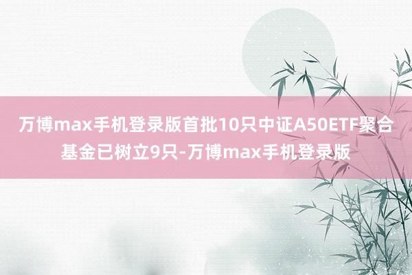 万博max手机登录版首批10只中证A50ETF聚合基金已树立9只-万博max手机登录版