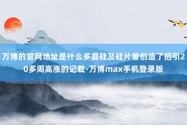 万博的官网地址是什么多晶硅及硅片曾创造了招引20多周高涨的记载-万博max手机登录版