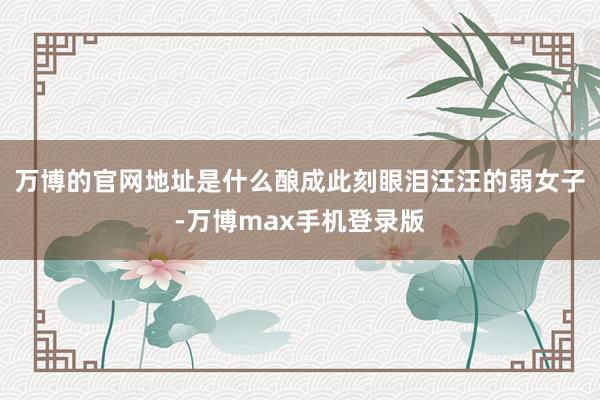 万博的官网地址是什么酿成此刻眼泪汪汪的弱女子-万博max手机登录版